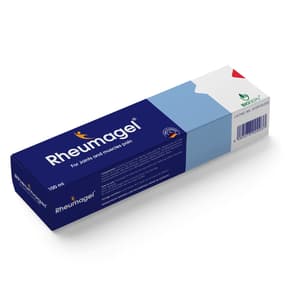 BIOSERV RHEUMAGEL GEL 100 ML