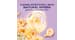 52454