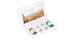54623